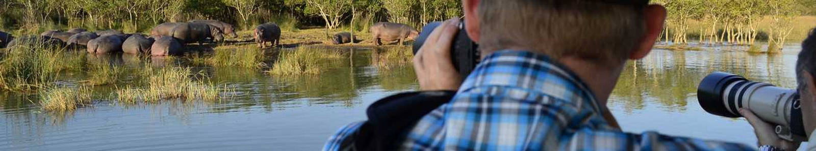 Eco and photographic safaris with Roy's